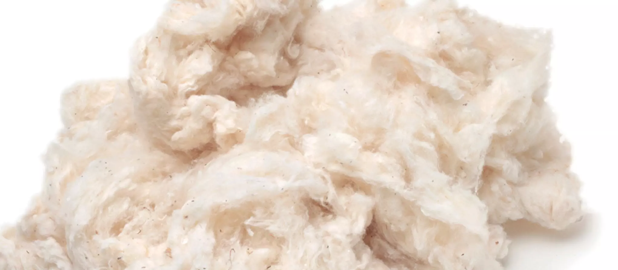 纖維 - Cover Image